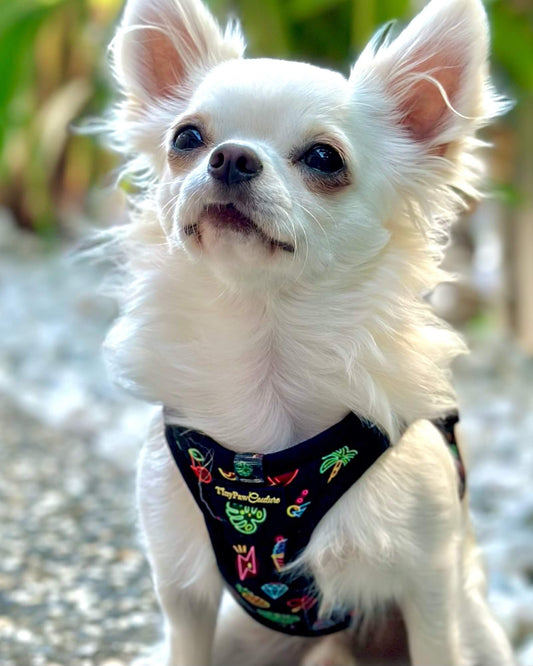 Wet'n'Wild Neon Lights Step In Vest Harness