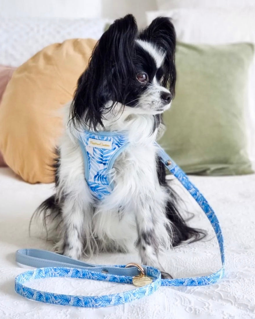 Little Luxe Blue Leaf Step In Vest Harness