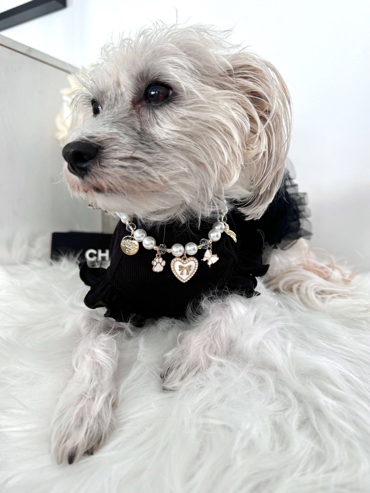 Charming Necklace