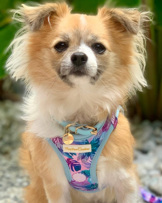 Wet'n'Wild Tropical Step In Vest Harness