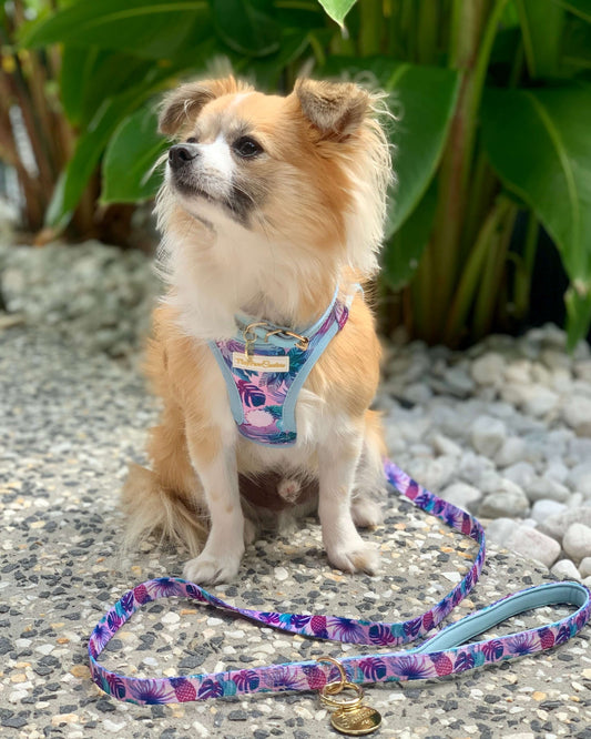 Wet'n'wild Tropical Lead