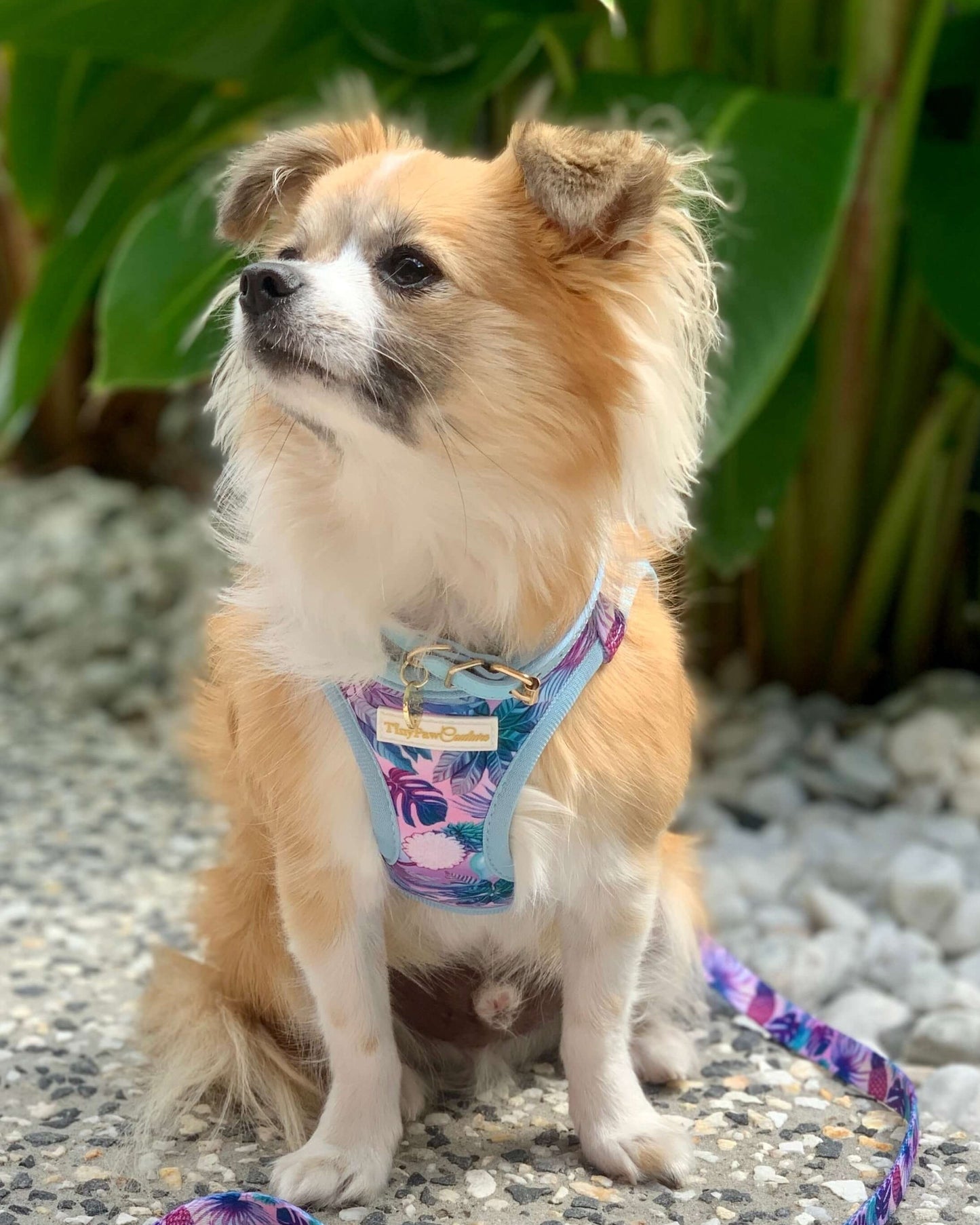 Wet'n'Wild Tropical Step In Vest Harness
