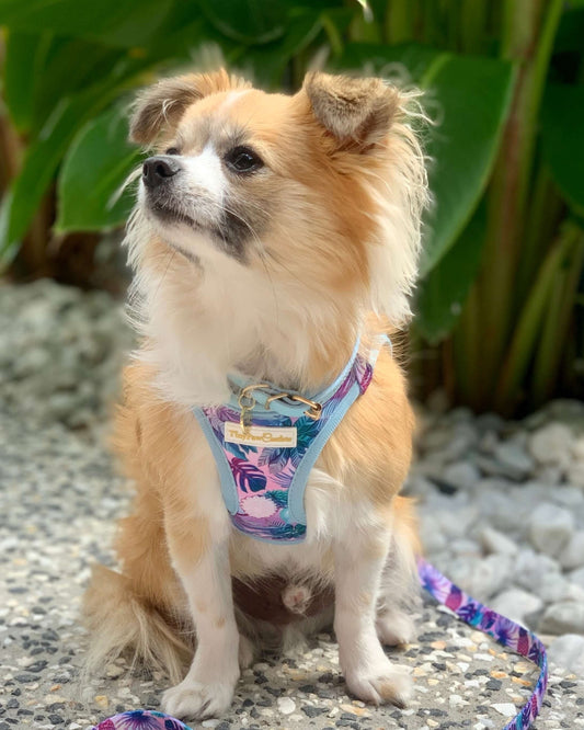Wet'n'Wild Tropical Step In Vest Harness
