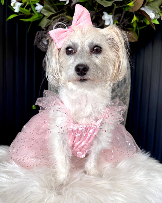 Briar-Rose Princess Dress Pink