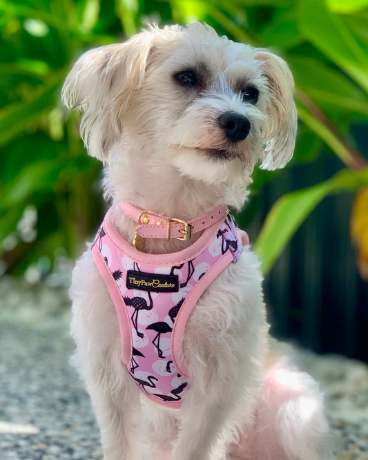 Little Luxe Flamingos Step In Vest Harness