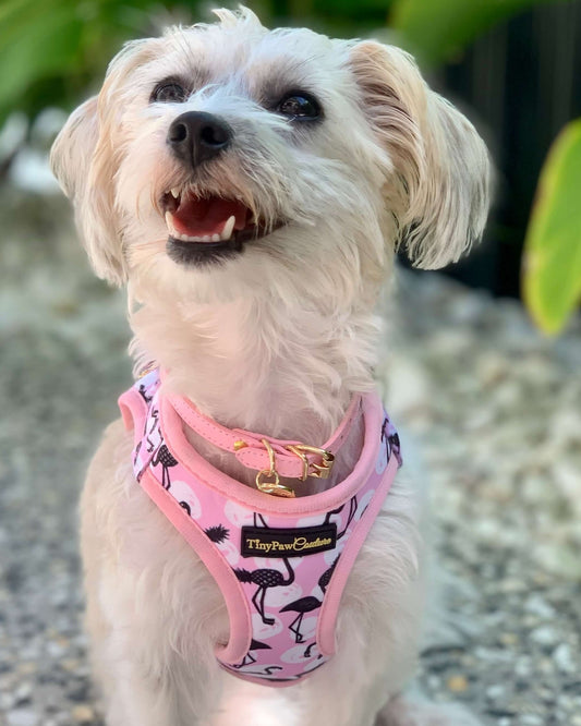 Little Luxe Flamingos Step In Vest Harness