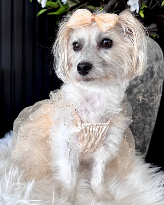 Briar-Rose Princess Dress