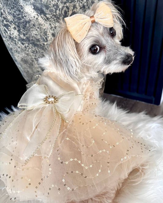 Briar-Rose Princess Dress