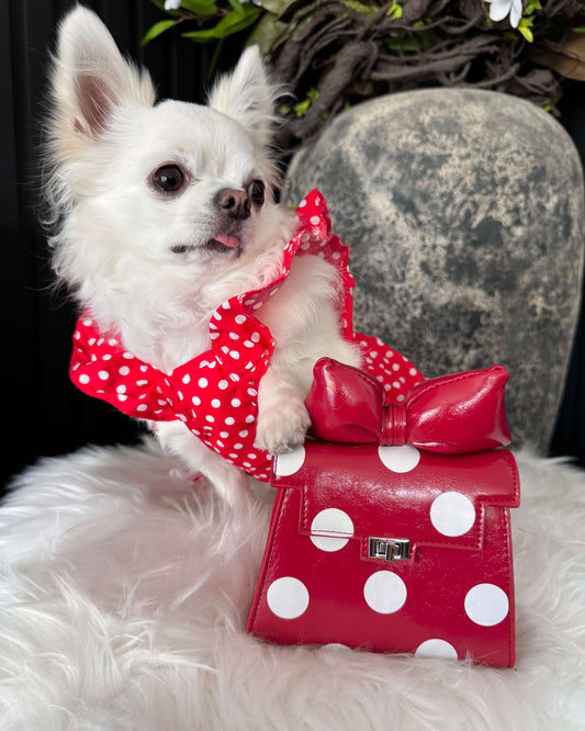 Polka Dot Mini Bag - Pop Princess