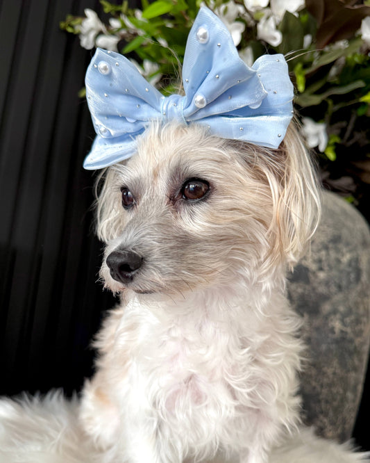 Sapphire Starlet Hair Bow