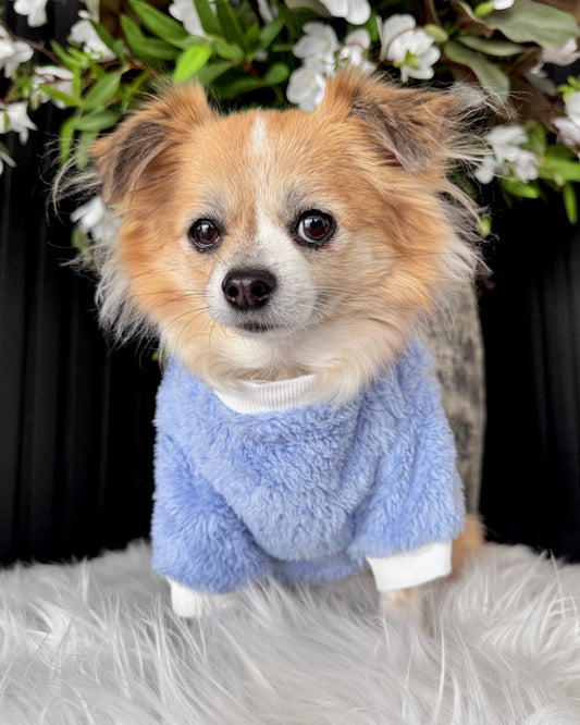 Teddy Jumper Blue