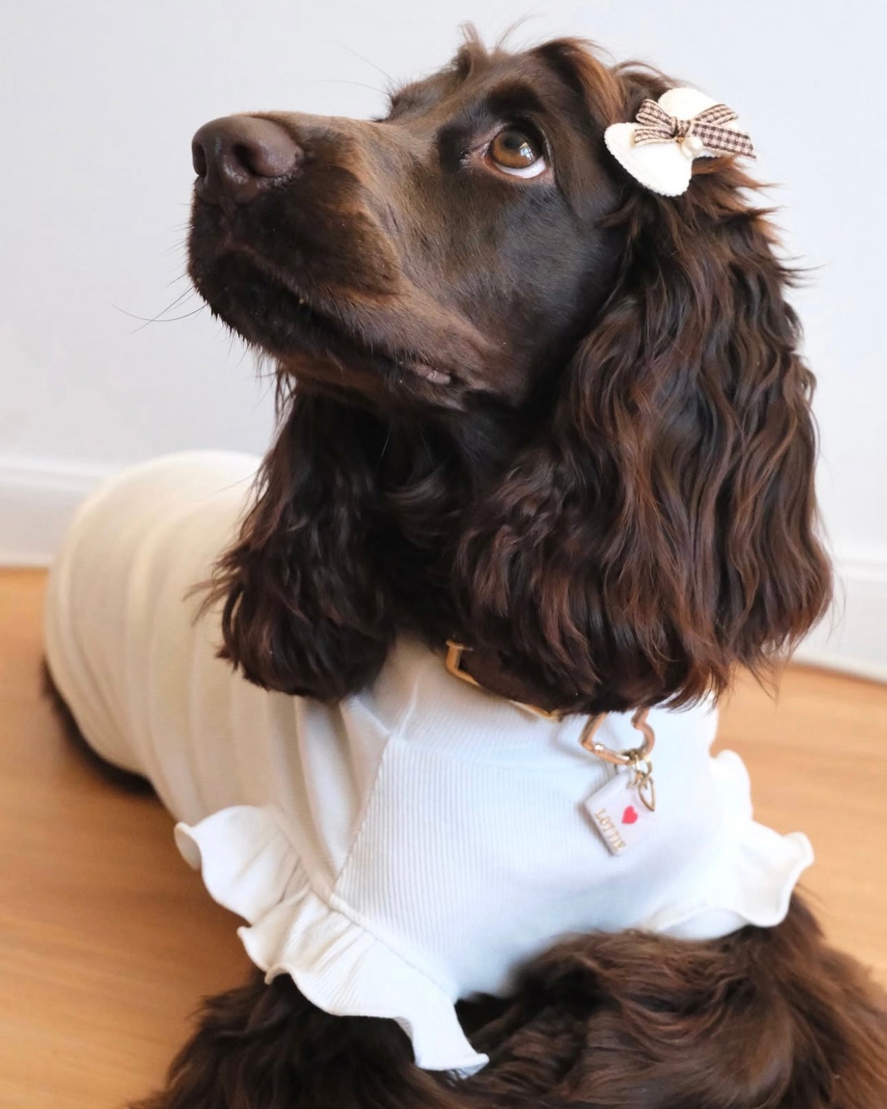Arabella Frilly Sleeve Top White