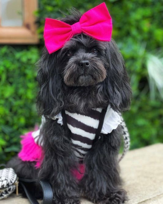 Zelda Fashionista Dress