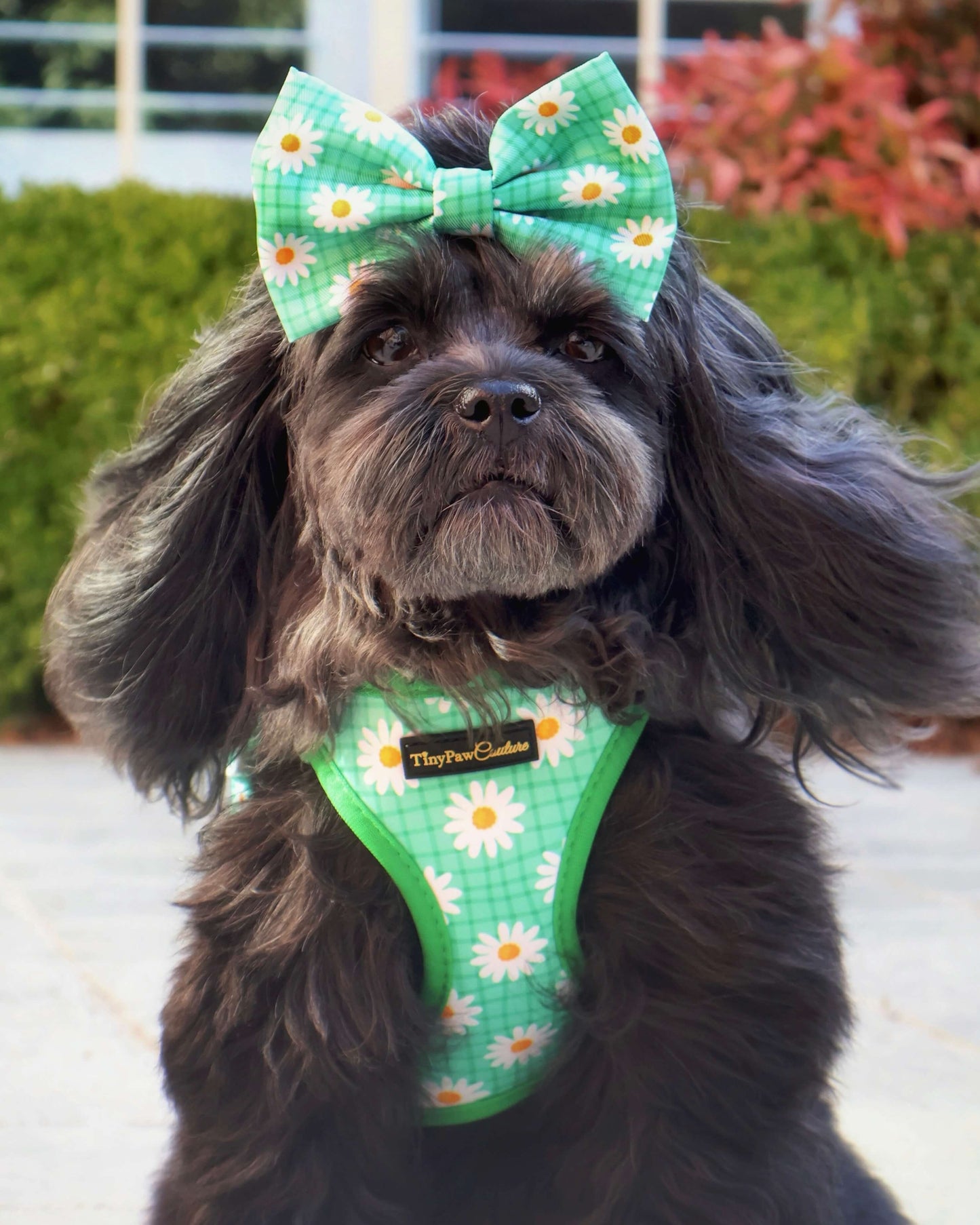 Wet'n'Wild Daisy Step In Vest Harness