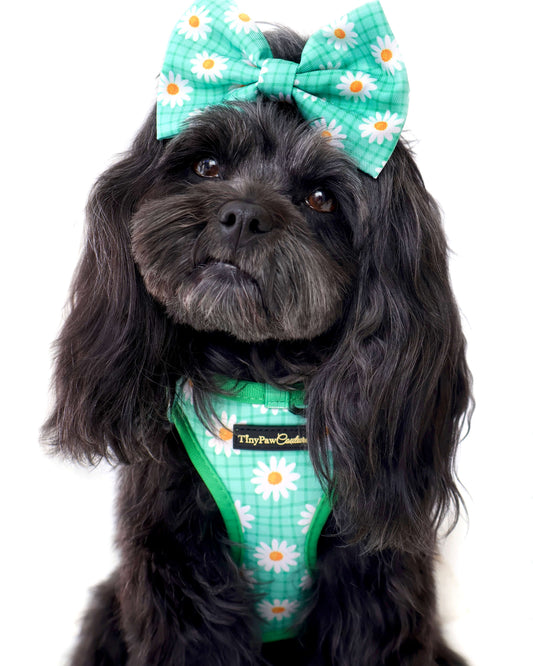 Wet'n'Wild Daisy Step In Vest Harness