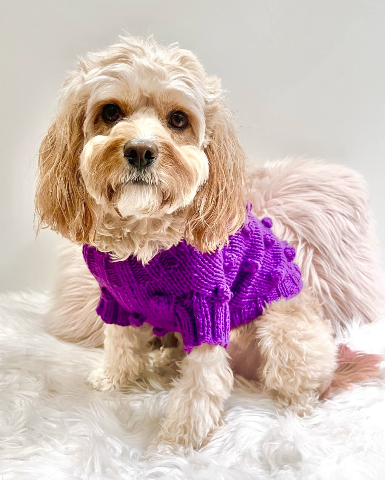 Pom Pom Knit Lilac Grey