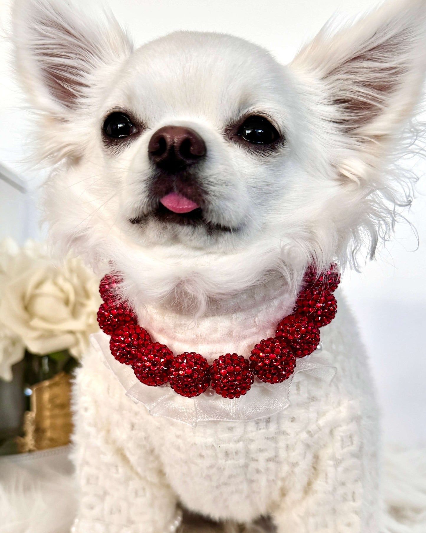 Emma Red Necklace