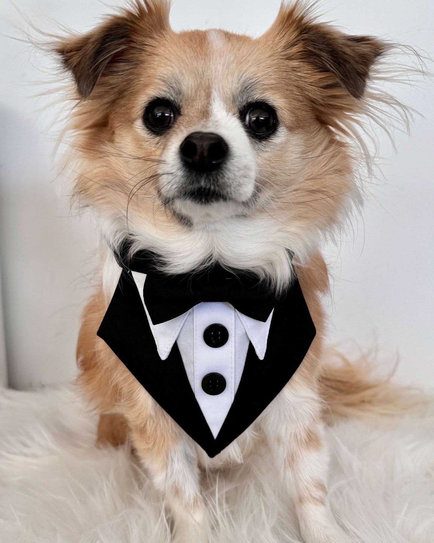 Tuxedo Necktie