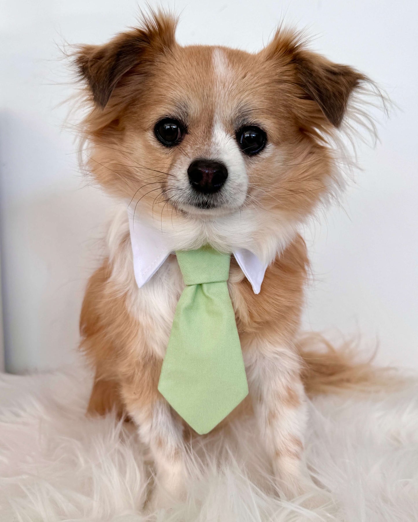 Green Necktie