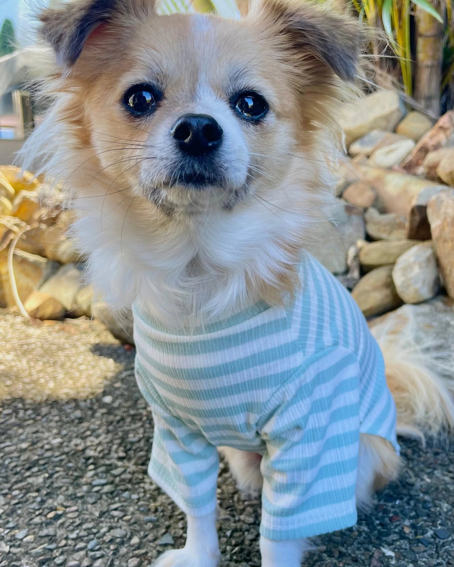 Sammy Striped Top Pale Aqua