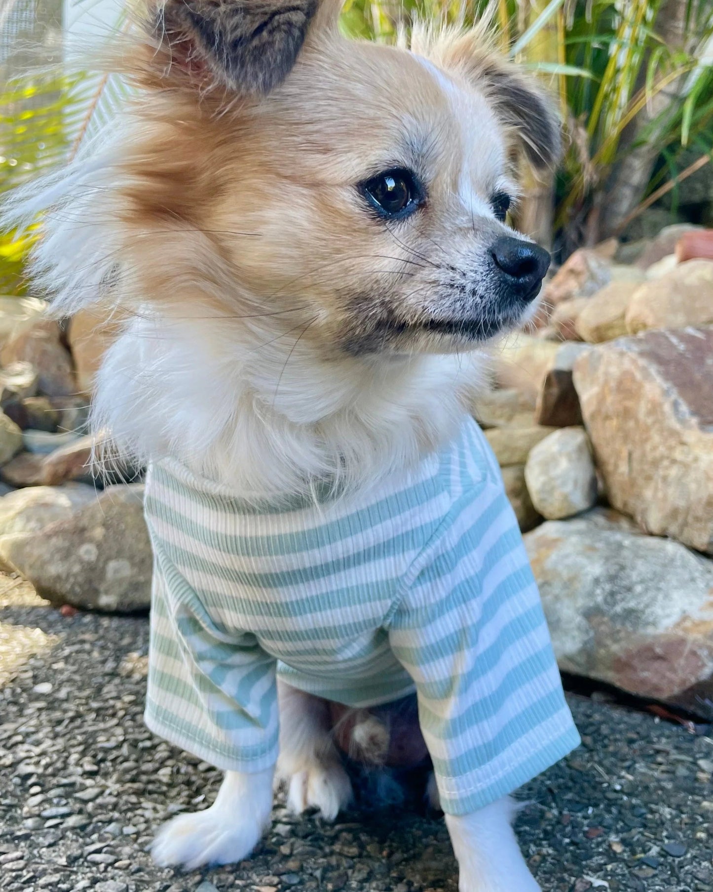 Sammy Striped Top Pale Aqua