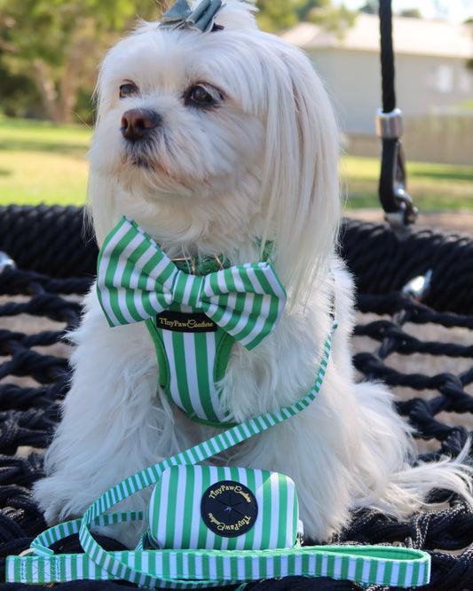 Wet'n'Wild Green Stripes Set