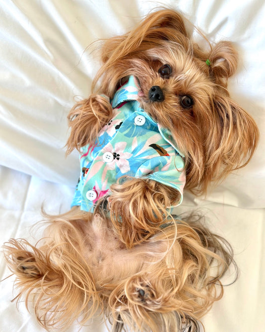 Tropical Toucan Paradise Shirt