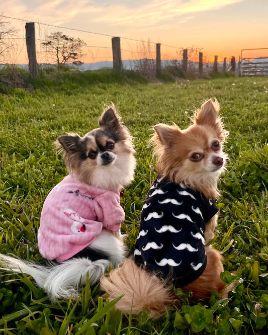 Flamingo Snuggle Jumper