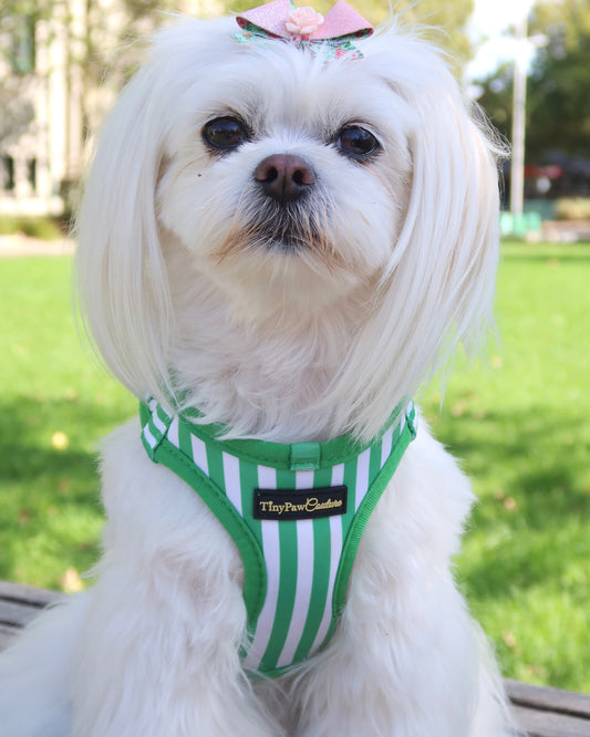 Wet'n'Wild Green Stripes Step In Vest Harness