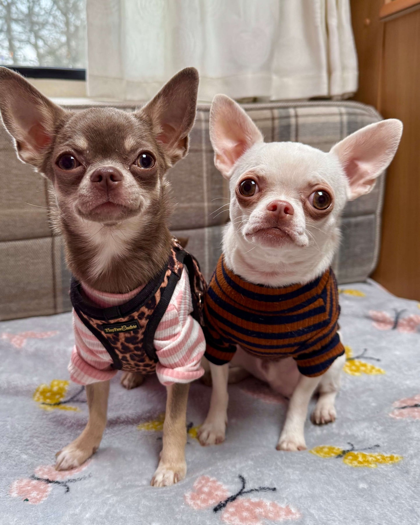 Sammy Striped Top Brown