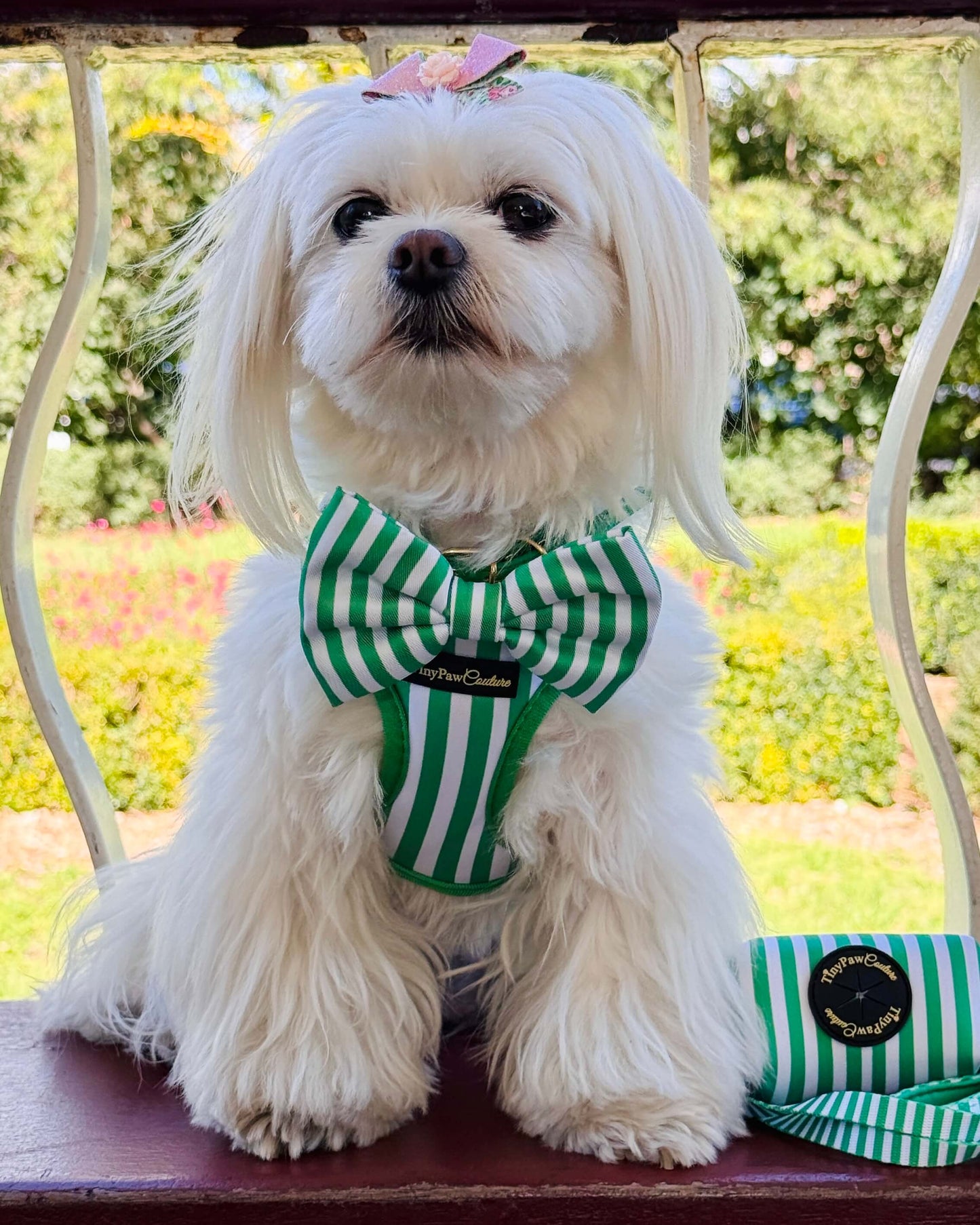 Wet'n'Wild Green Stripes Bow