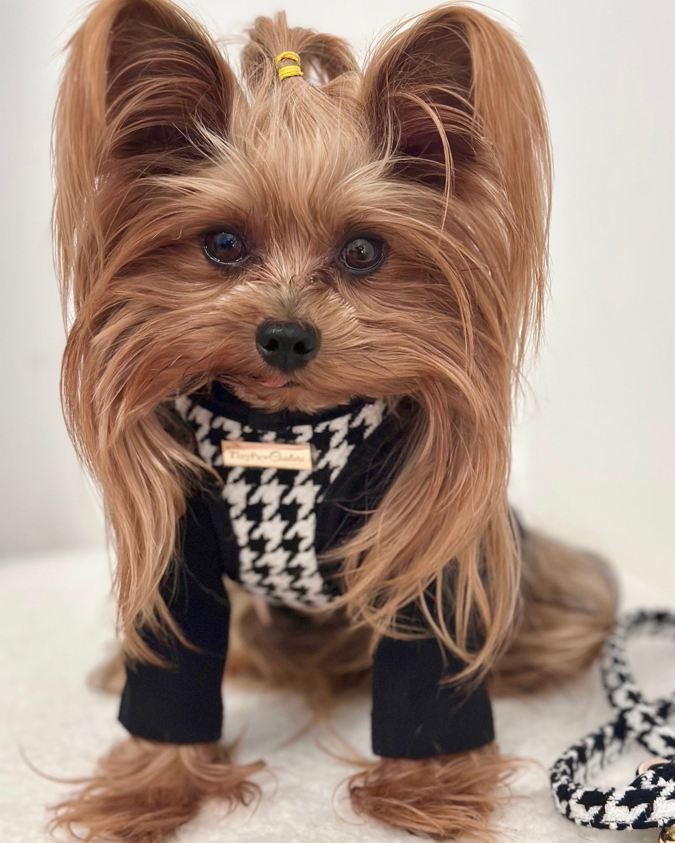Little Luxe Houndstooth Harness