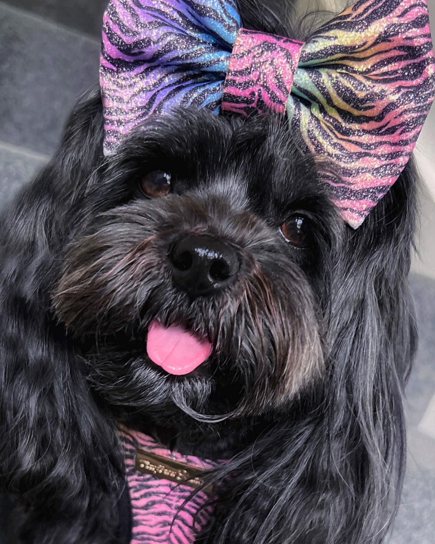 Little Luxe Glitz & Glam Zebra Bow
