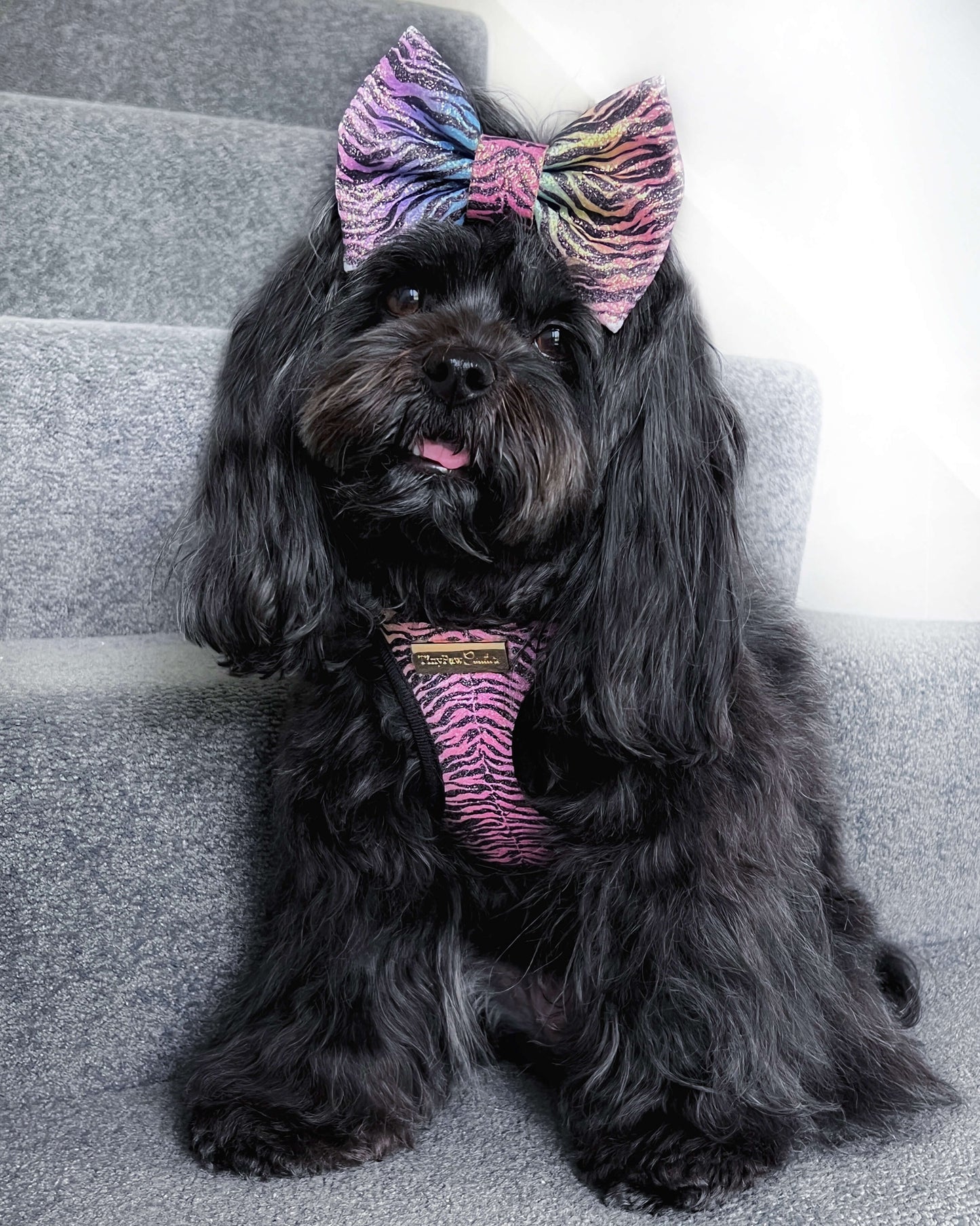 Little Luxe Glitz & Glam Zebra Harness