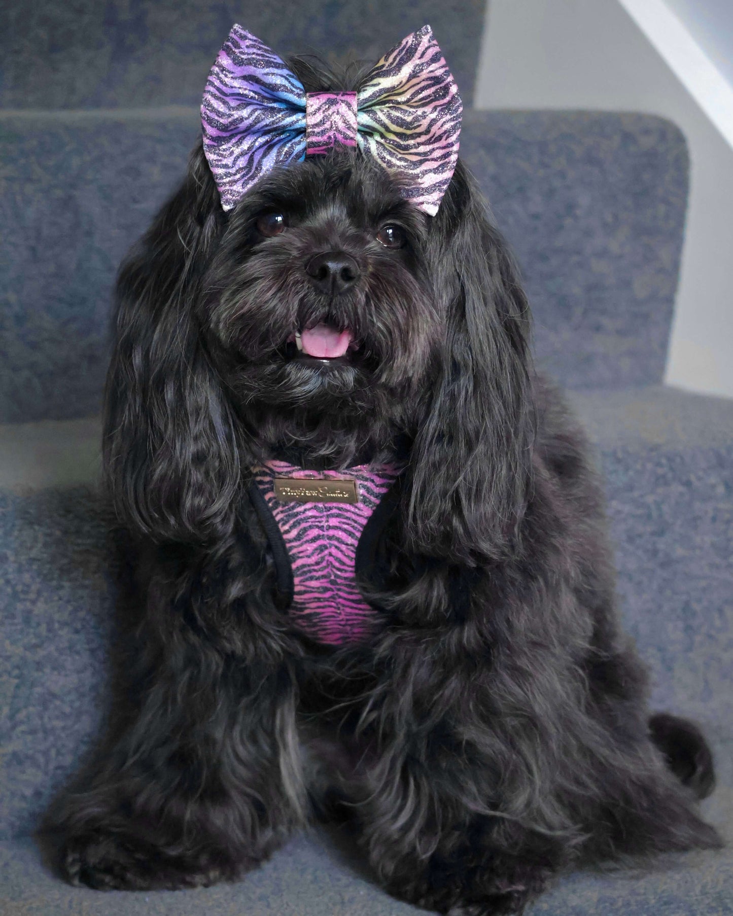 Little Luxe Glitz & Glam Zebra Bow