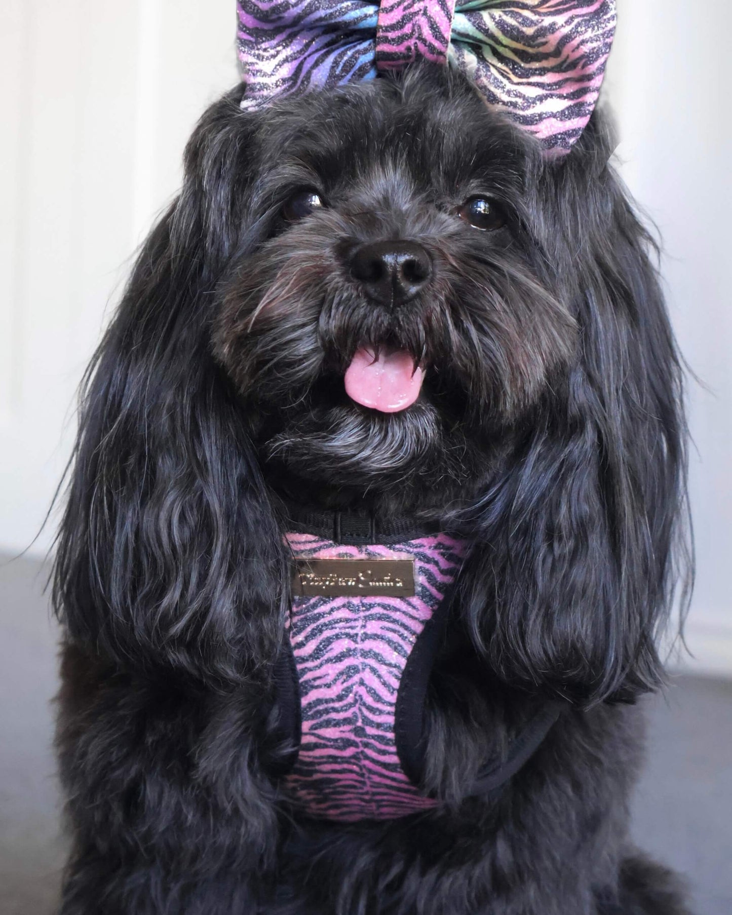 Little Luxe Glitz & Glam Zebra Harness