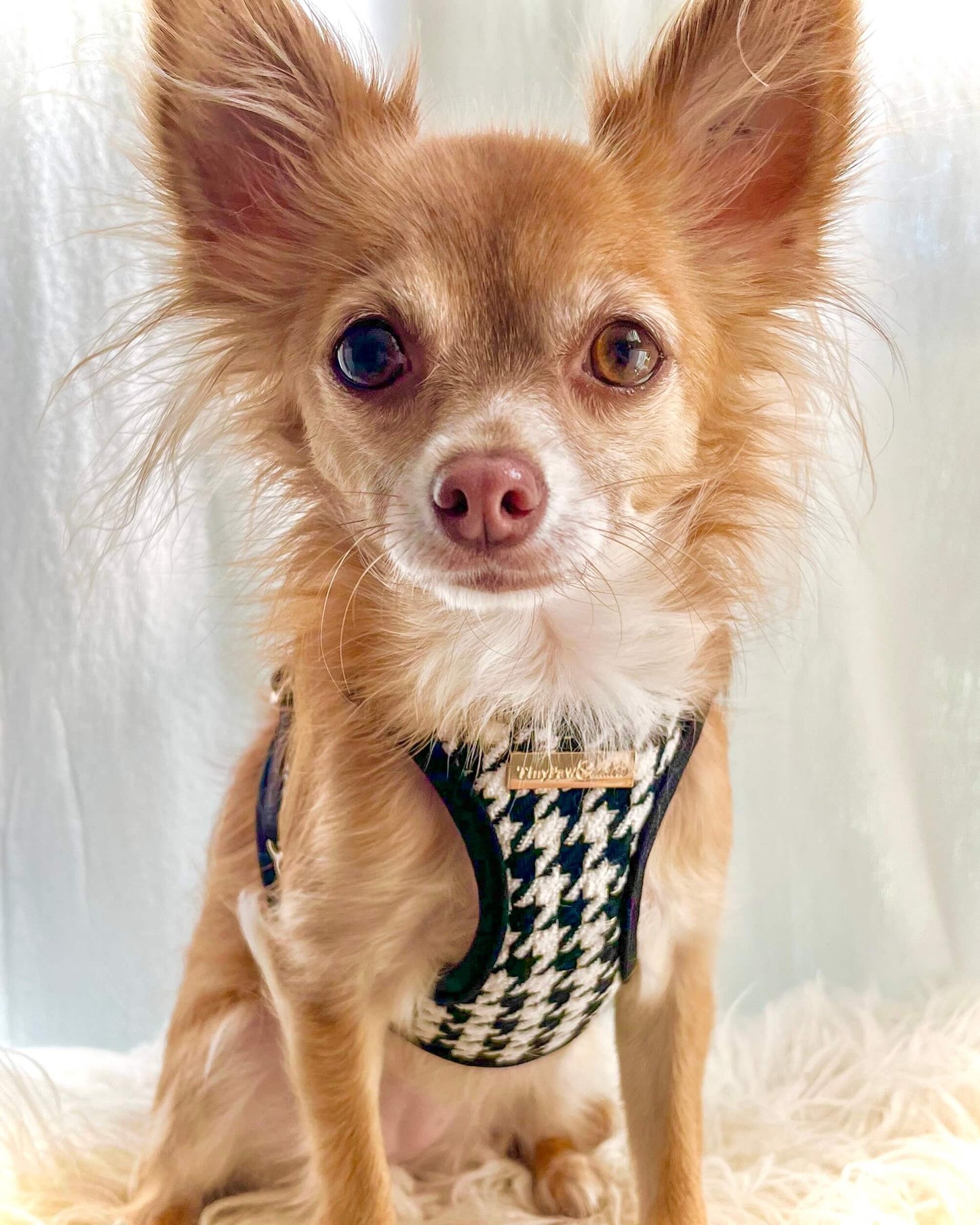 Little Luxe Houndstooth Harness