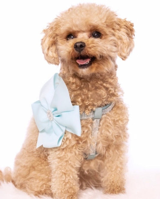 Diamante Aqua Harness