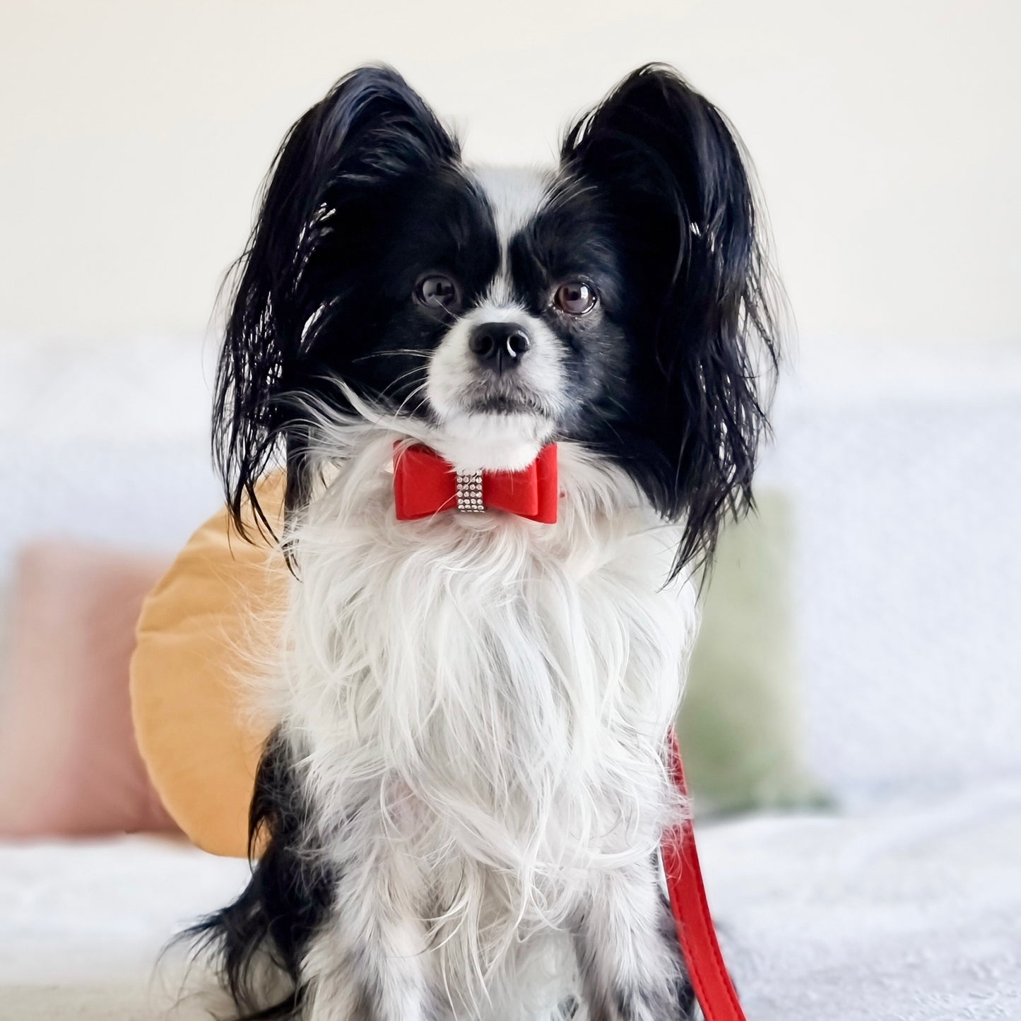 Diamante Rouge Collar