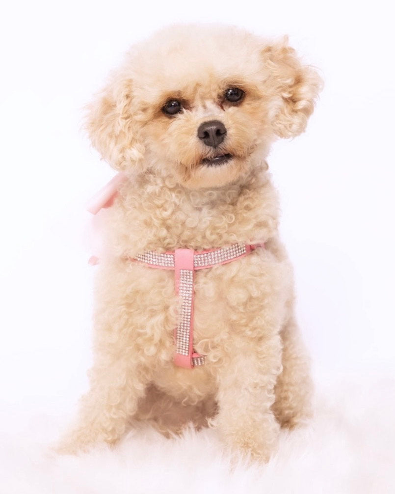 Diamante Pretty in Pink Harness