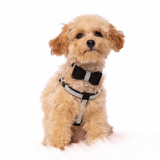 Diamante Noir Collar