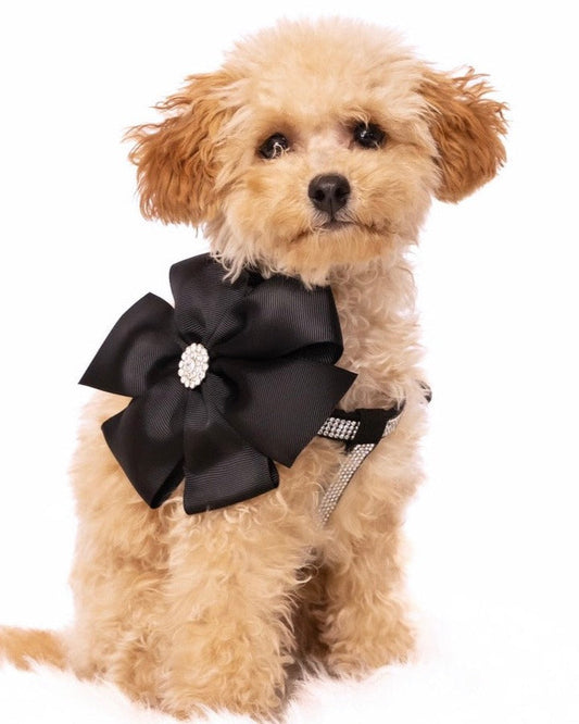 Diamante Noir Harness