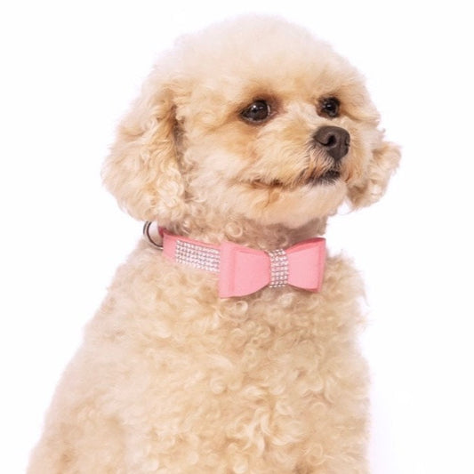 Diamante Pretty in Pink Collar