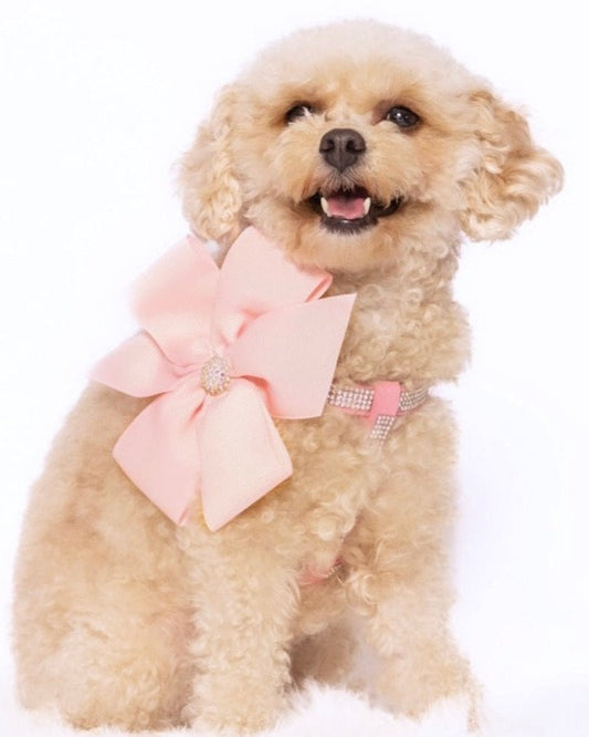 Diamante Pretty in Pink Harness