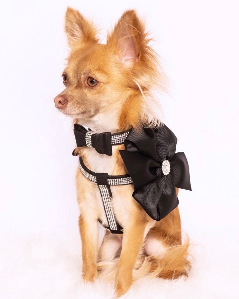 Diamante Noir Harness