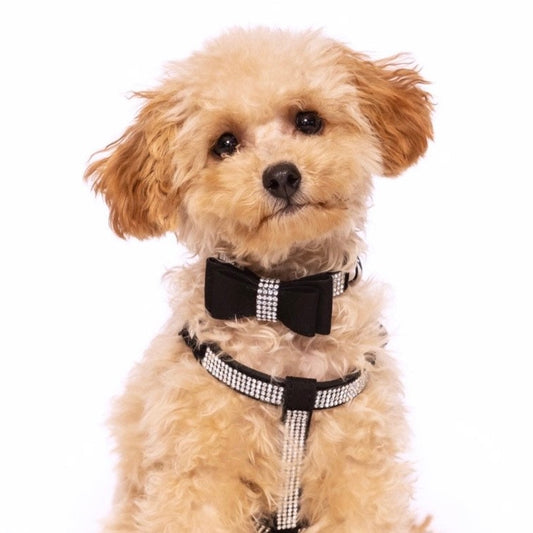 Diamante Noir Collar