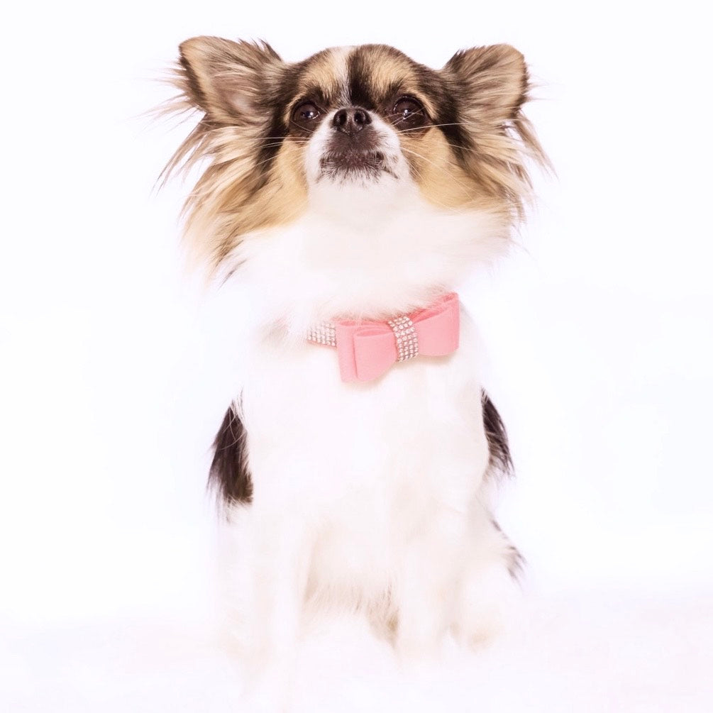 Diamante Pretty in Pink Collar
