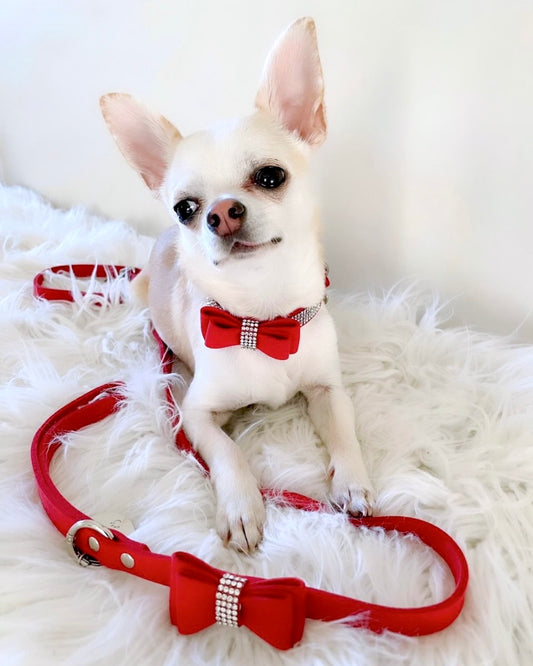 Diamante Rouge Collar