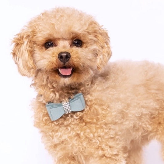 Diamante Aqua Collar