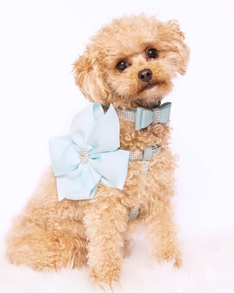 Diamante Aqua Harness